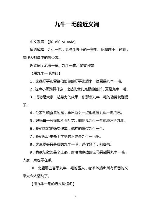 九牛一毛的近义词