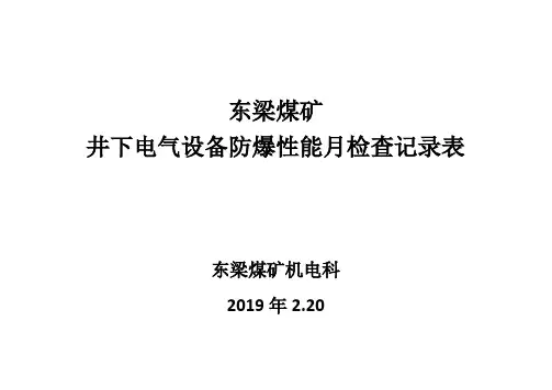 煤矿井下电气设备防爆性能月检查记录表
