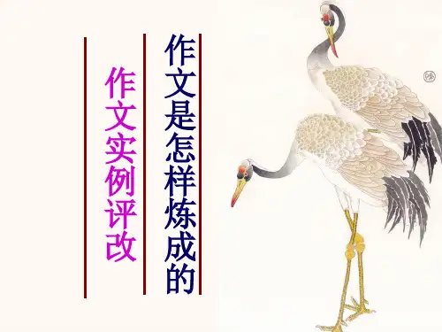 作文修改