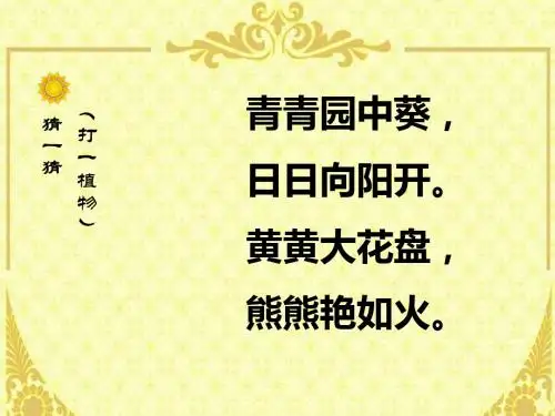 向日葵