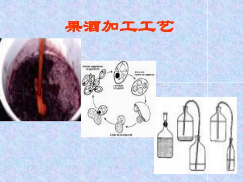 果酒加工工艺