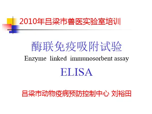 酶联免疫吸附实验讲义全解