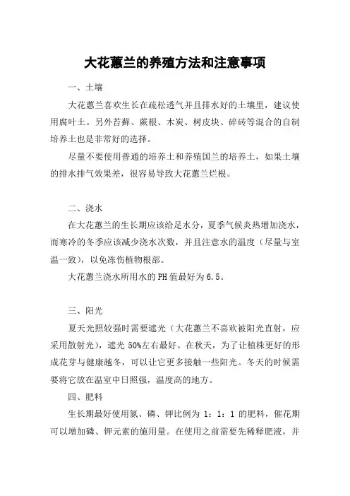 大花蕙兰的养殖方法和注意事项