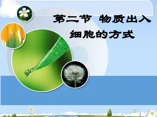 物质出入细胞的方式ppt4 浙科版
