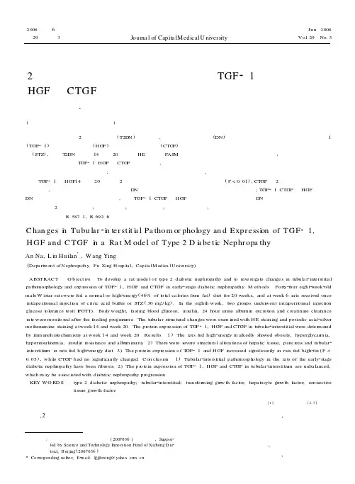 2型糖尿病肾病大鼠肾小管间质病变及TGF-β1、HGF和CTGF表达的变化及意义