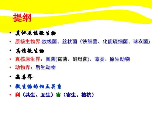 《环境工程微生物学》放线菌 (1)