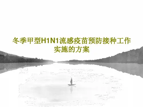 冬季甲型H1N1流感疫苗预防接种工作实施的方案共77页文档