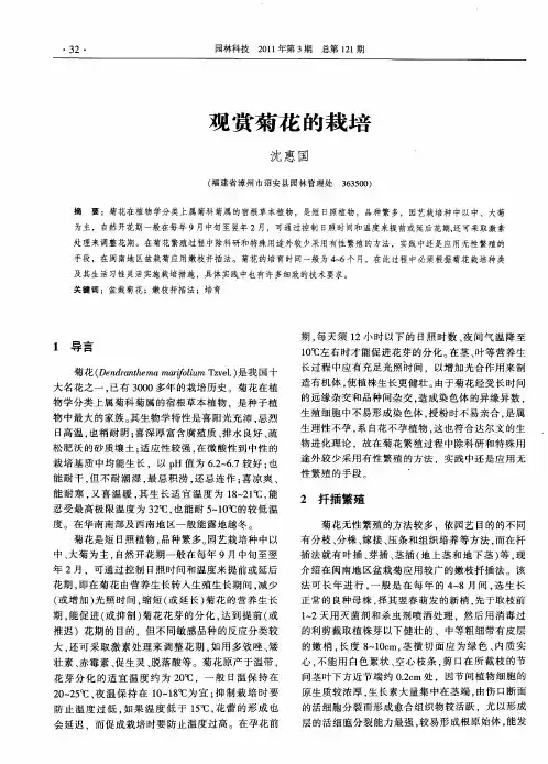观赏菊花的栽培