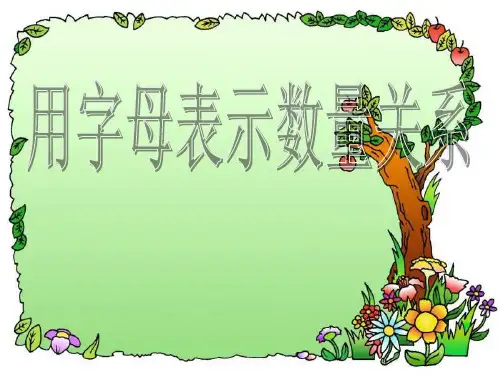 《用字母表示数量关系》方程PPT  图文