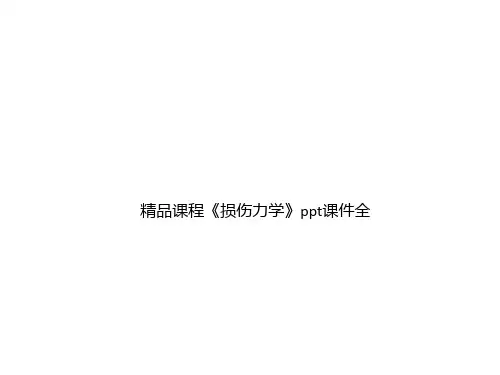 精品课程《损伤力学》ppt课件全