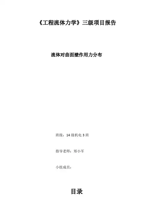 燕山大学流体力学三级项目 2
