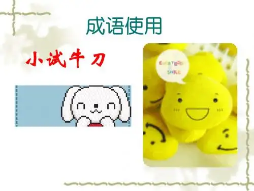 专题之四成语使用