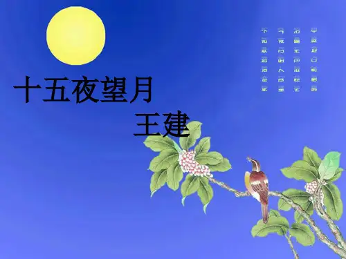 十五月望月