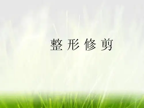 树木整形修剪