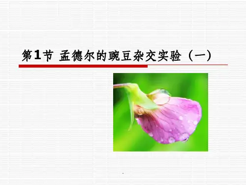 孟德尔的豌豆杂交实验一(公开课)