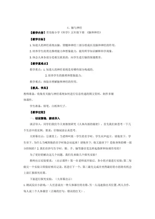 青岛版(六年制,三起)五年级下册教学设计4.脑与神经