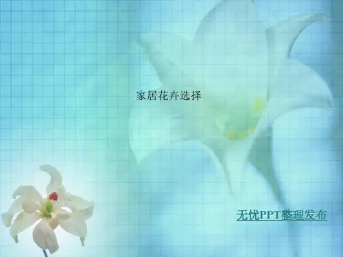 家居花卉选择