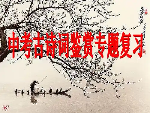 中考古诗词鉴赏专题复习ppt