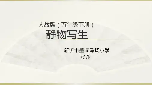 人教版五年级下册美术《第5课 静物写生》