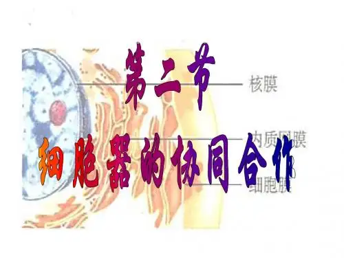 3章2节