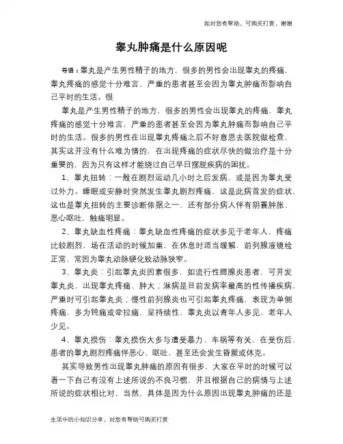 睾丸肿痛是什么原因呢