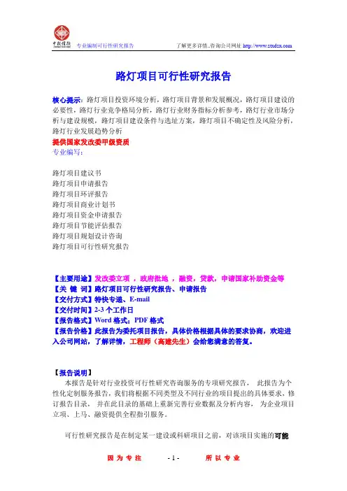 路灯项目可行性研究报告