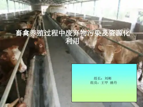我国禽畜养殖业废弃物污染及资源化利用资料