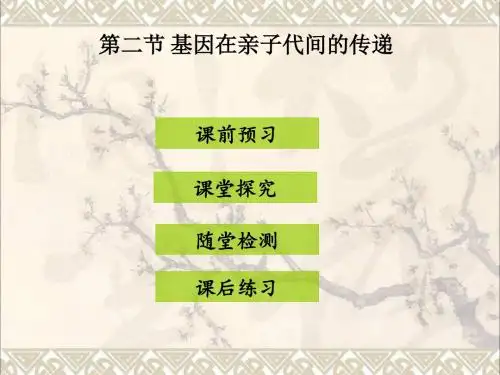 八年级生物下册7.2.2基因在亲子代间的传递课件新版新人教版20180205325