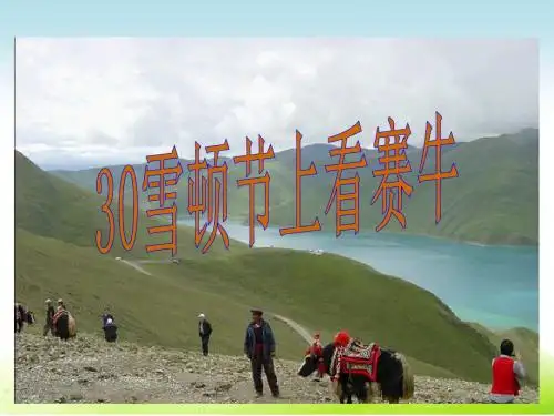 语文S版语文三年级下册优质课件第8单元30雪顿节上看赛牛.ppt