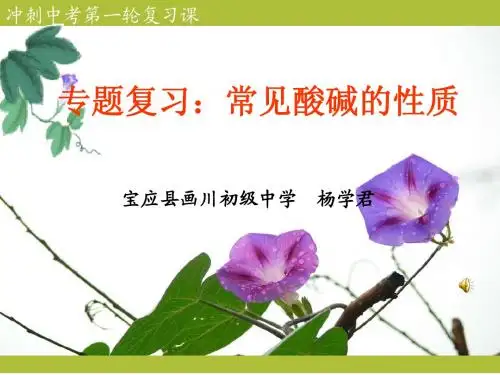 专题复习:常见酸碱的性质
