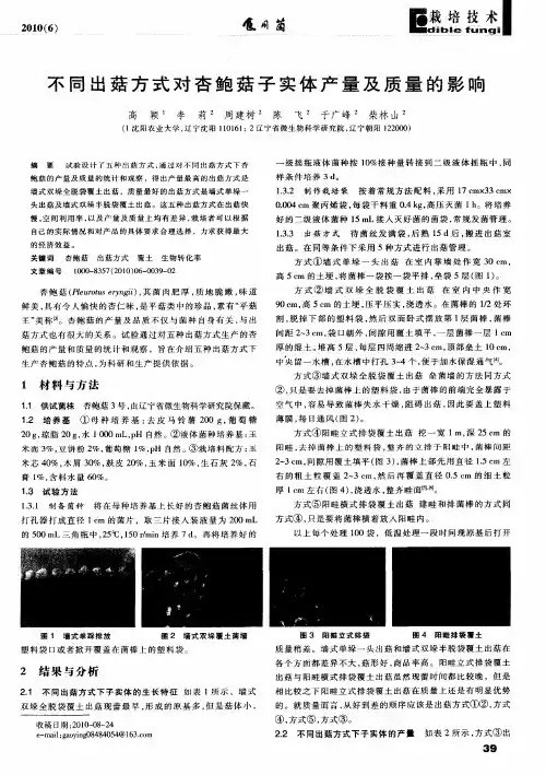 不同出菇方式对杏鲍菇子实体产量及质量的影响