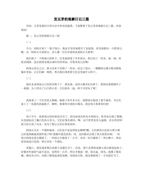 发豆芽的观察日记三篇