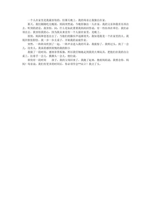 那晚我一个人在家