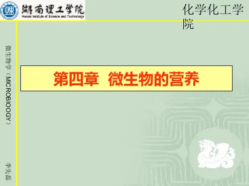 微生物学第四章