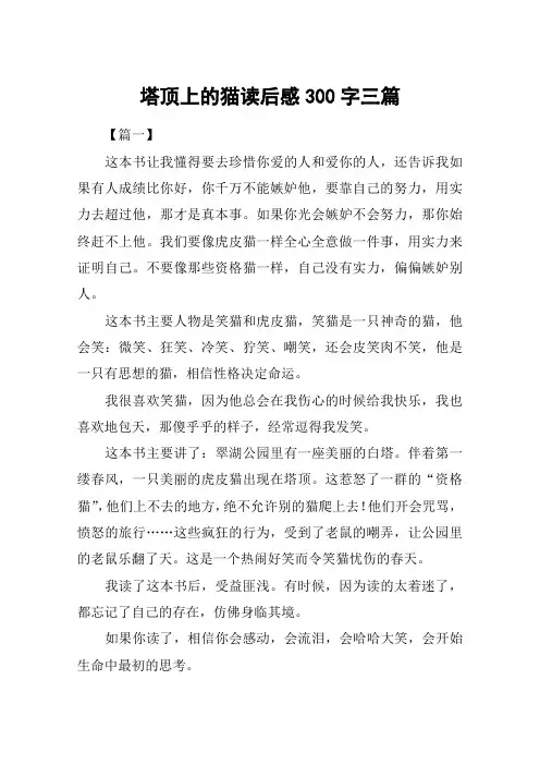 塔顶上的猫读后感300字三篇