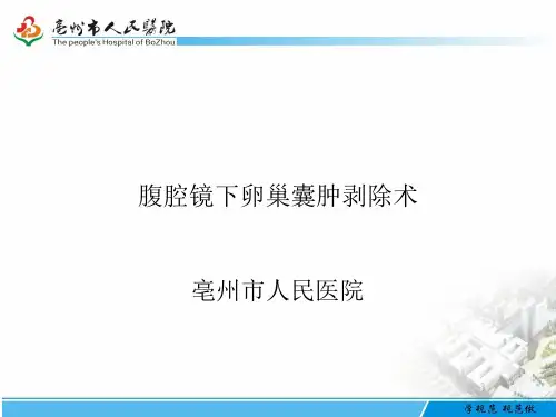 腹腔镜下卵巢囊肿剥除术教学PPT