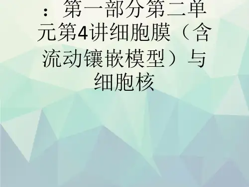 2019年高考生物人教版一轮复习课件：第一部分第二单元第4讲细胞膜(含流动镶嵌模型)与细胞核
