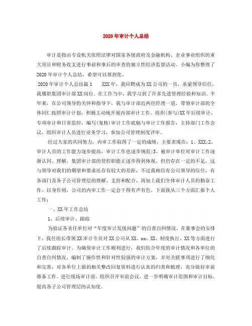2020年审计个人总结