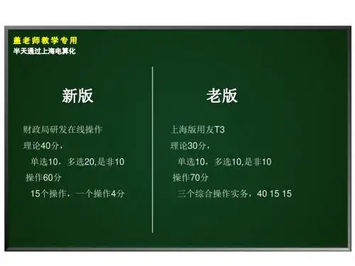 新版会计电算化教学大纲.