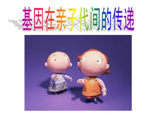 人教版八年级下册生物基因在亲子代间的传递