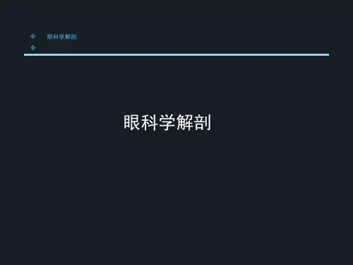 眼科学PPT课件 眼科学总论 眼科学解剖