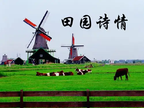 《田园诗情》PPT课件7