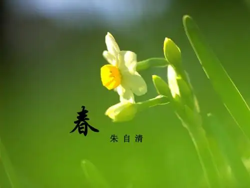 春朱自清(1)