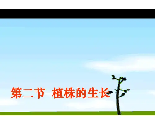初中七年级上册生物《植株的生长》课件