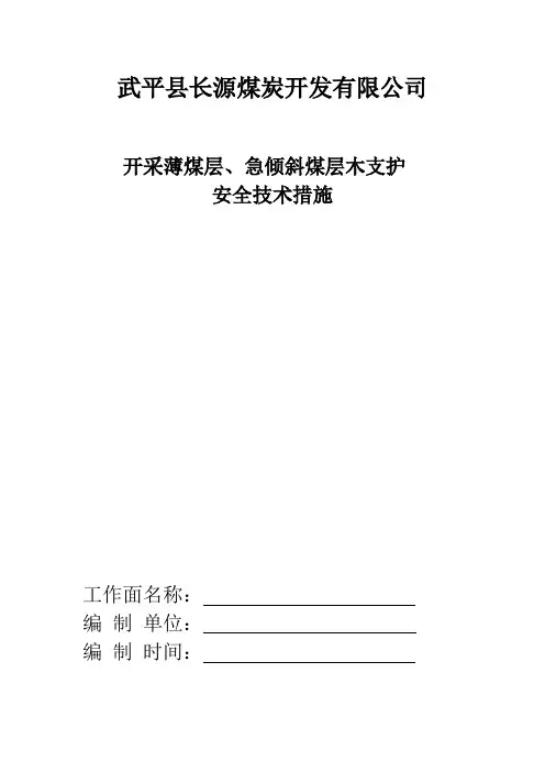 开采煤层急倾斜煤层技护安全技术措施