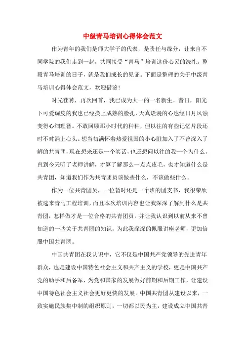 中级青马培训心得体会范文