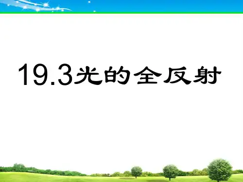 《全反射》