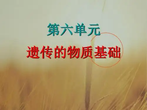 高中生物课件-DNA是主要的遗传物质 最新