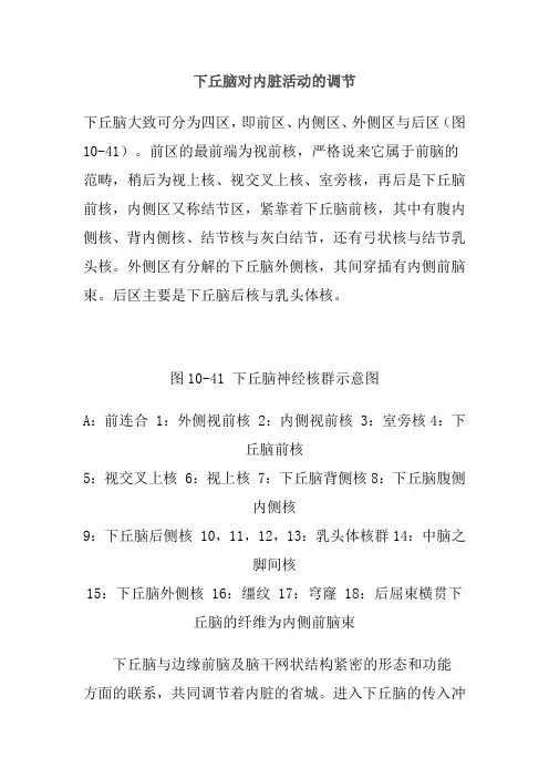 下丘脑对内脏活动的调节