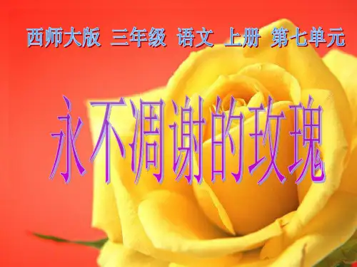 西师大版三年级上册《永不凋谢的玫瑰》PPT课件